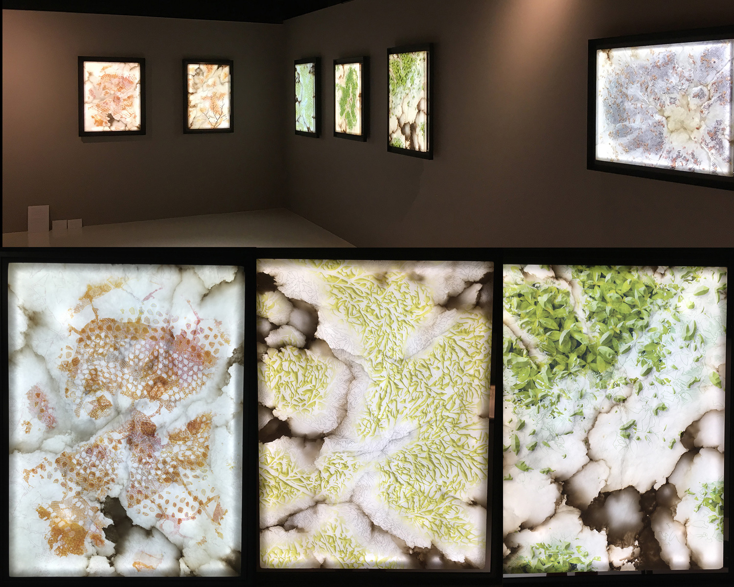 impression sur albatre, Fondation Alain Ellouz pour l'albatre