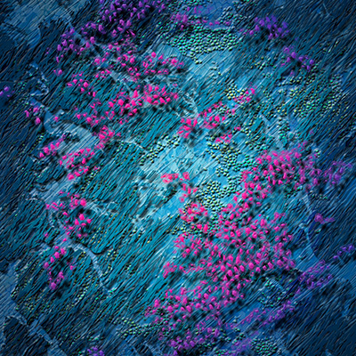 Plongée dans l&rsquo;imaginaire