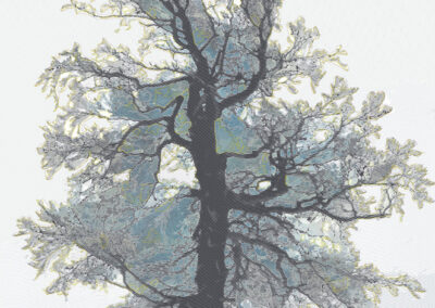 L&rsquo;arbre du crêt Monniot