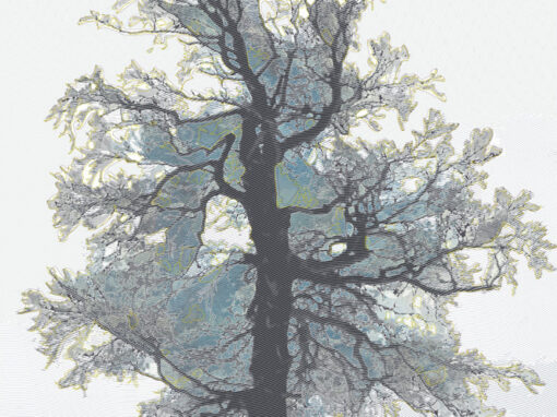 L&rsquo;arbre du crêt Monniot