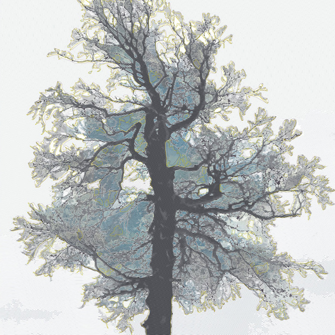 L&rsquo;arbre du crêt Monniot