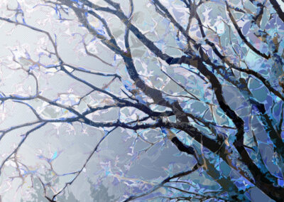 Portraits d&rsquo;arbres