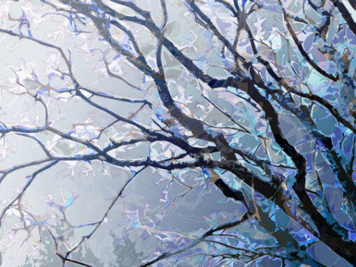 Portraits d&rsquo;arbres