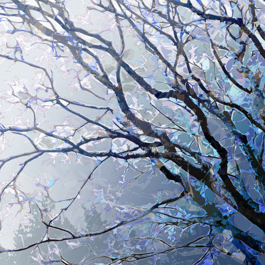 Portraits d&rsquo;arbres